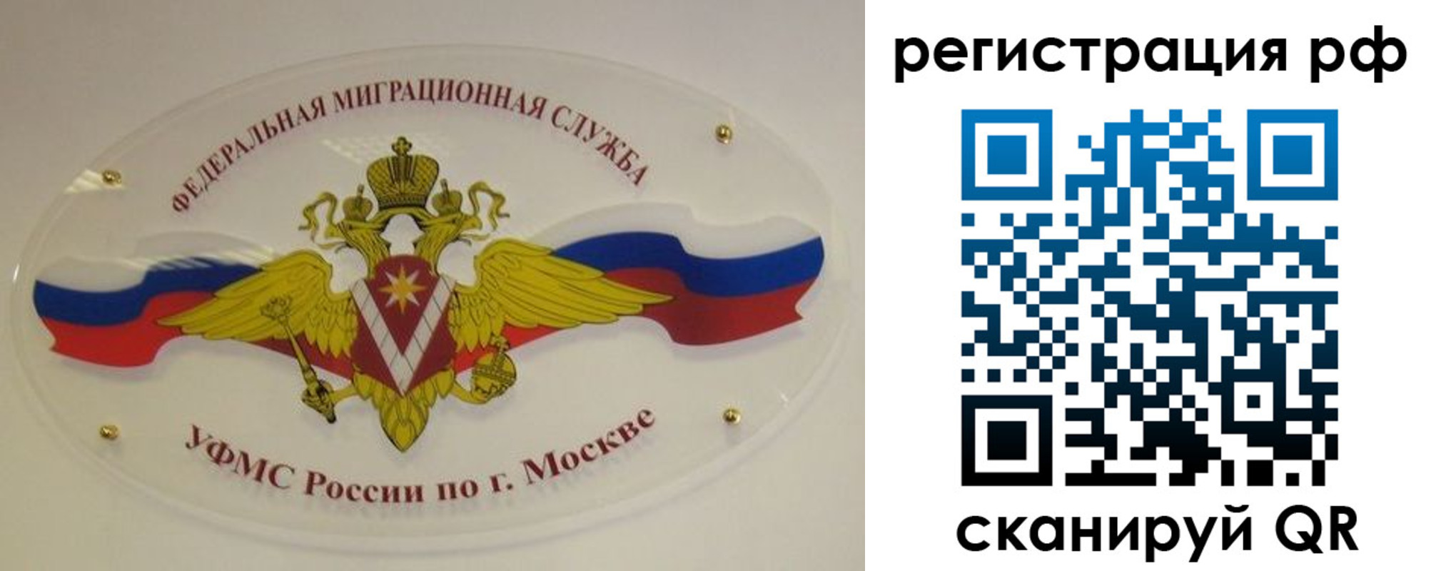 временная регистрация законно в Амурской области